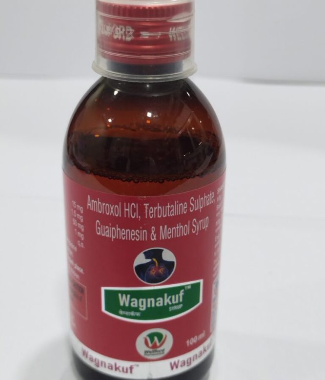 Wellford KOLD-CT FLU (N) Syrup