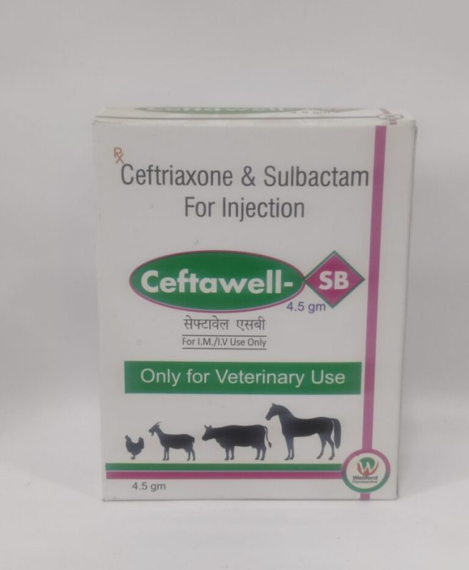CEFTAWELL-SB 4.5GM