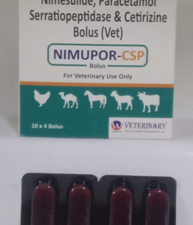 NIMUPOR-CSP BOLUS