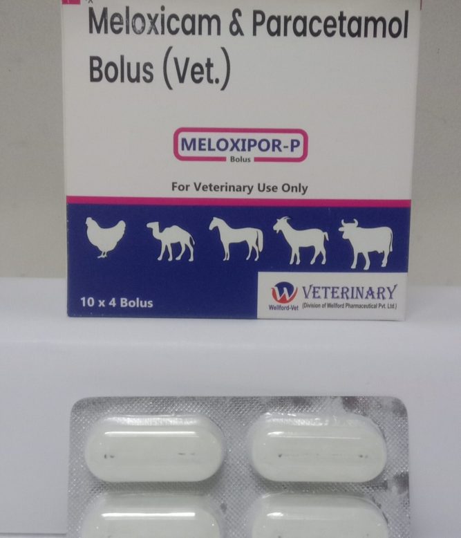 MELOXYPOR-P BOLUS