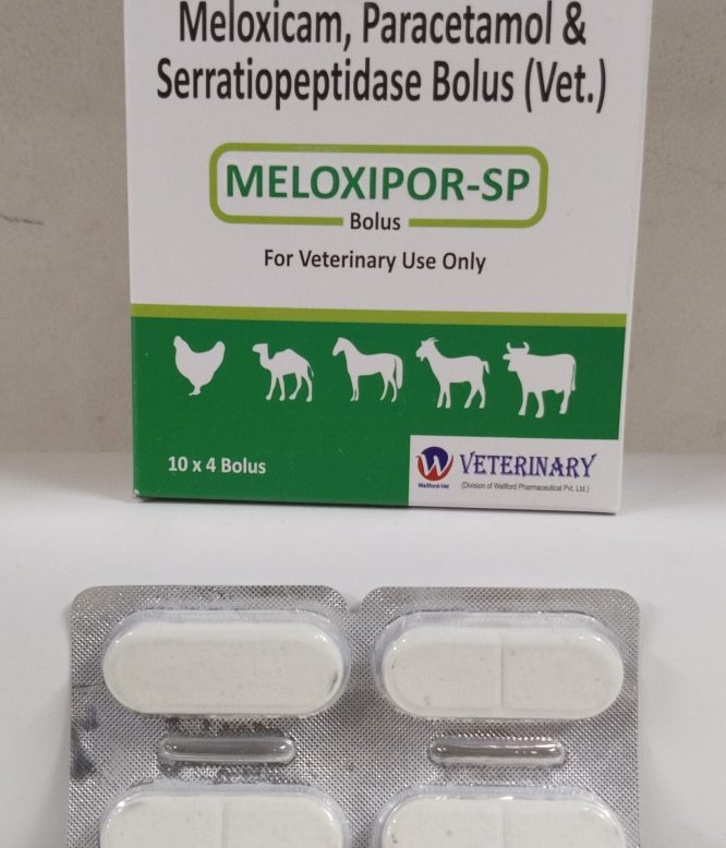 MELOXYPOR-SP BOLUS
