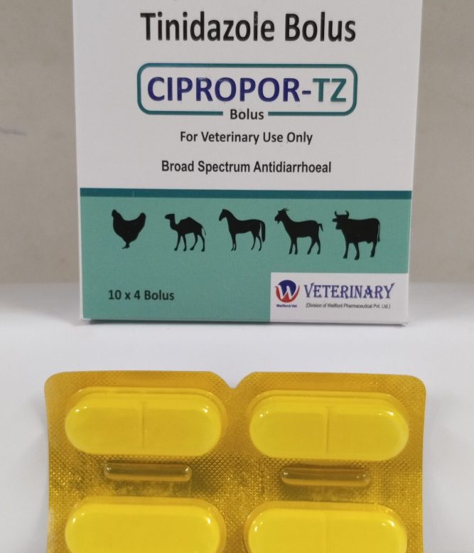 CIPROPOR-TZ BOLUS