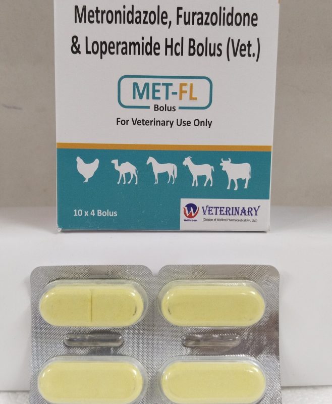 MET-FL-BOLUS