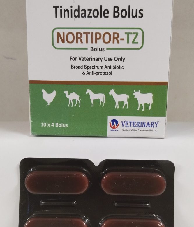 NORTIPOR TZ BOLUS